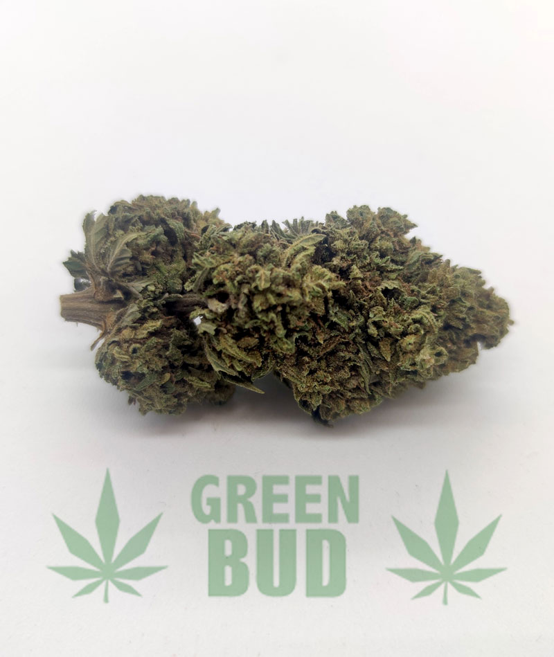 BZ1-EU - Green Bud